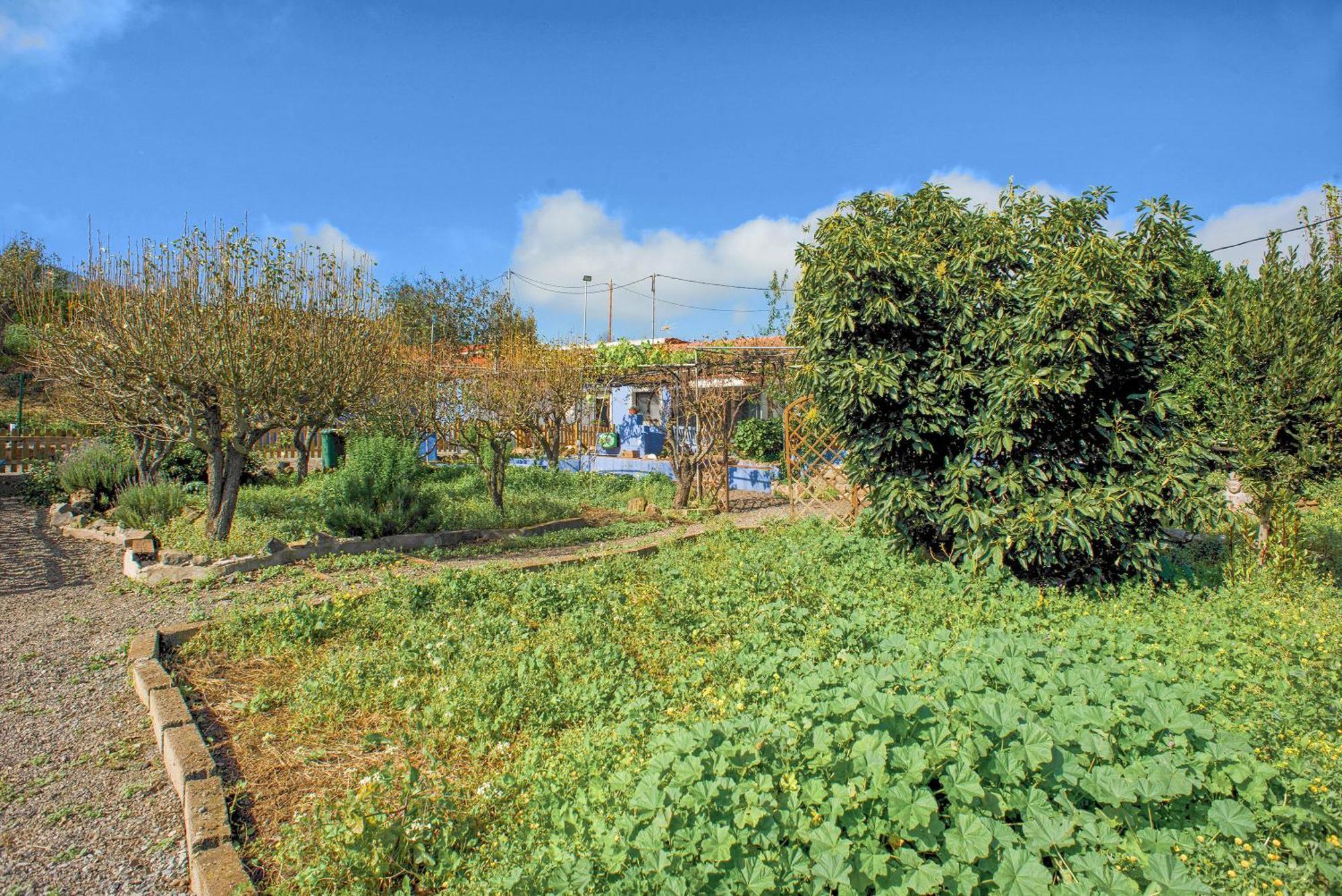 Casa de vacances La Lavanda *