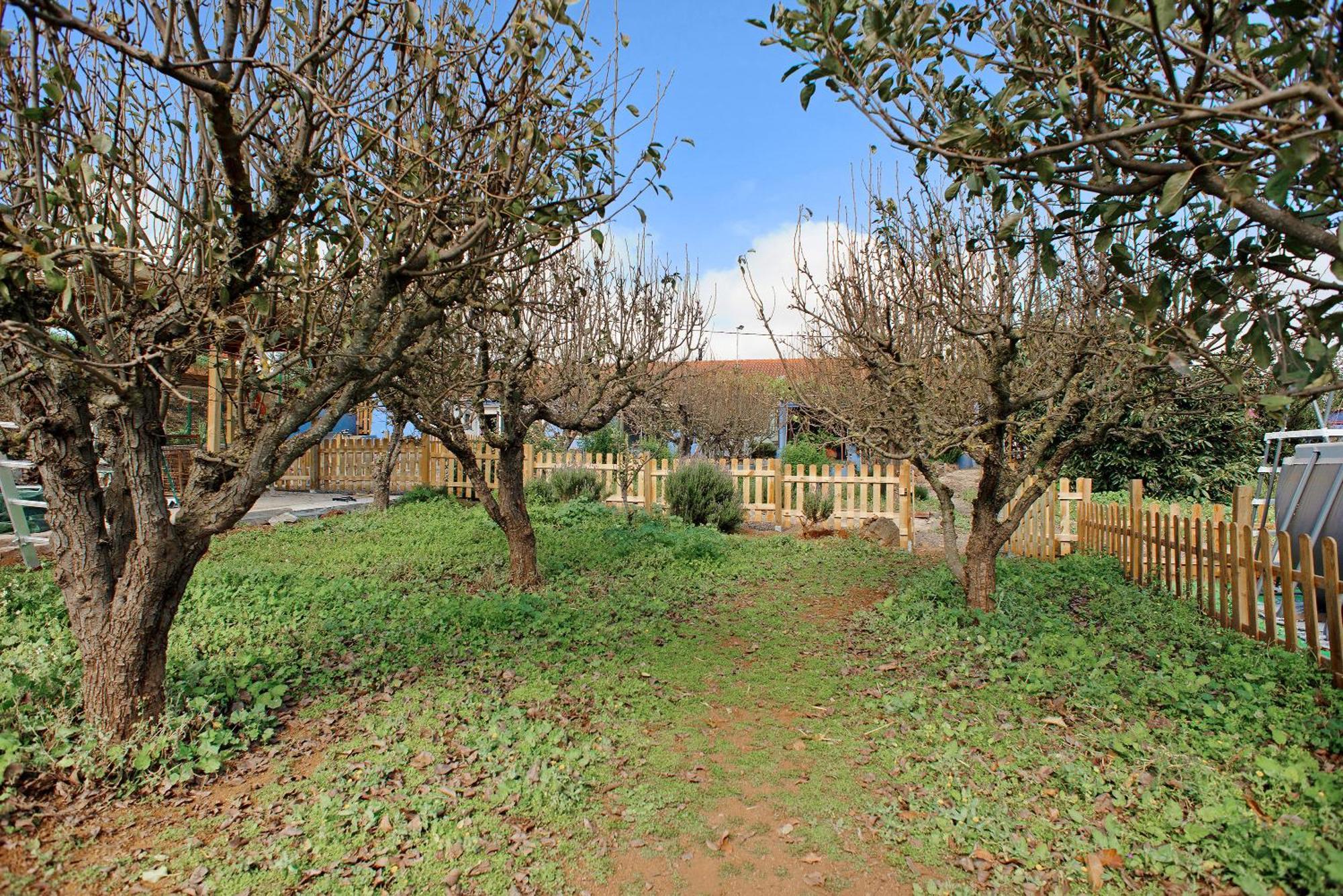 Casa de vacances La Lavanda Vega de San Mateo